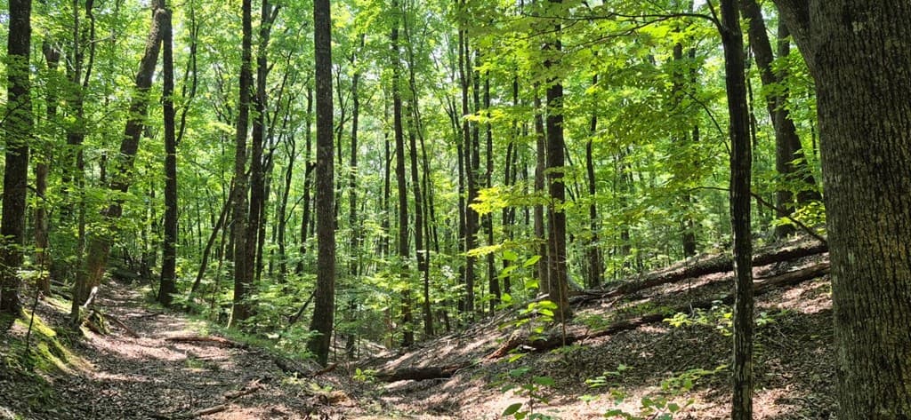 3.4 acre Peach Lane, Ellijay GA 30536 - Photo
