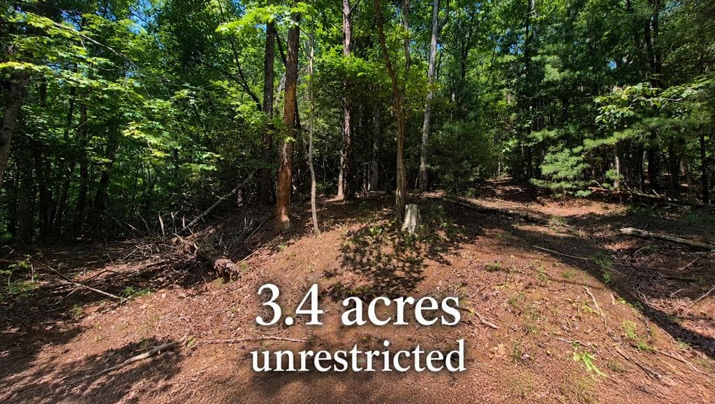 3.4 acre Peach Lane, Ellijay GA 30536 - Primary photo