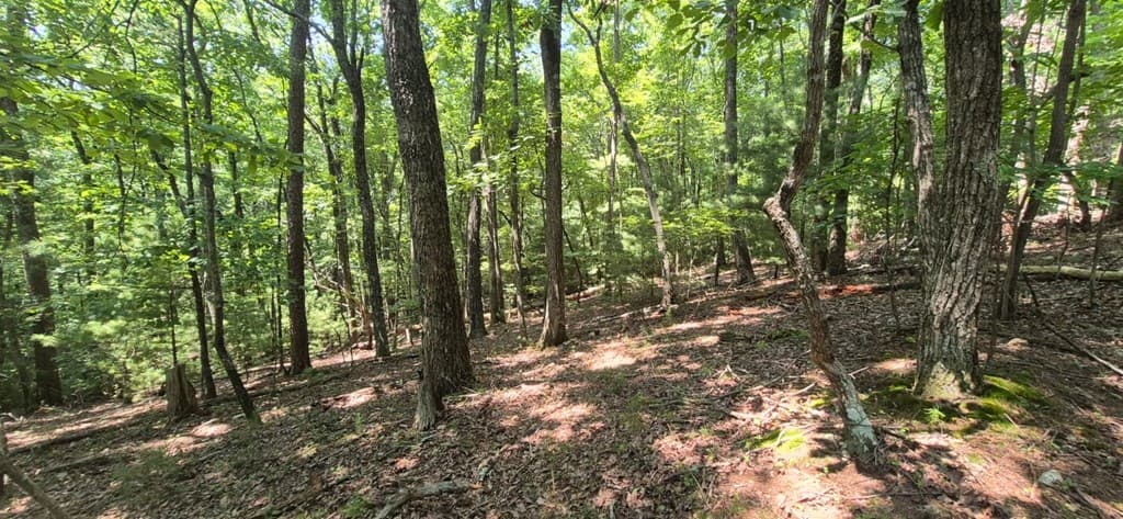3.4 acre Peach Lane, Ellijay GA 30536 - Photo