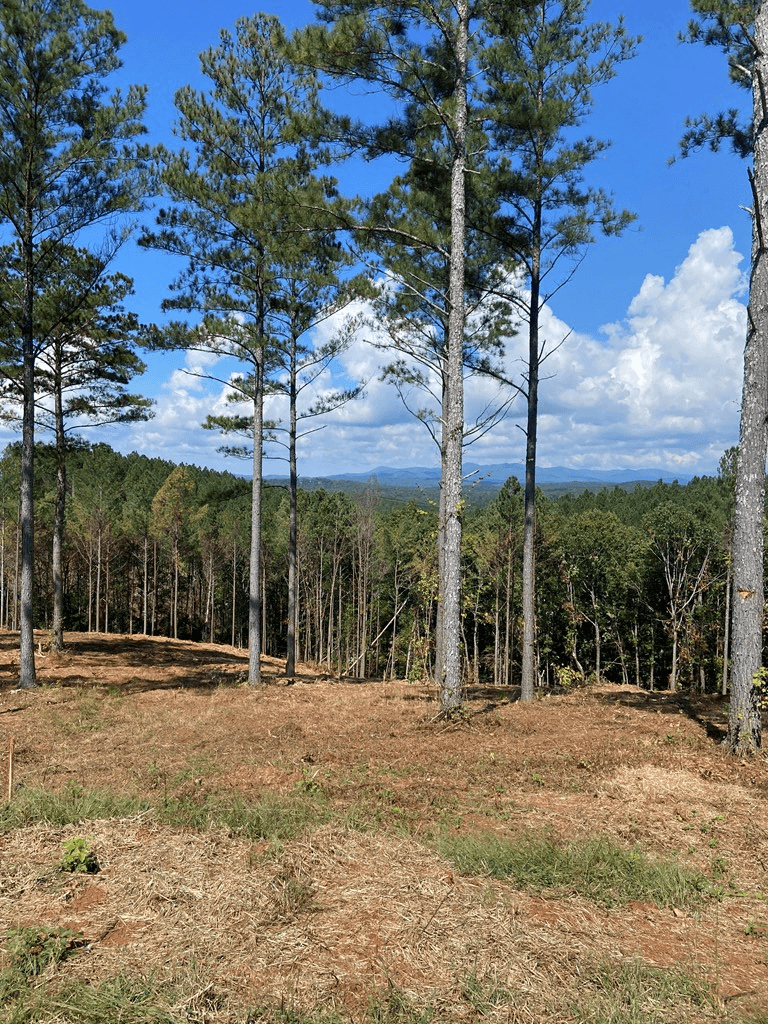 Lot 63 Lacey Springs Lane, Ellijay GA 30143 - Photo