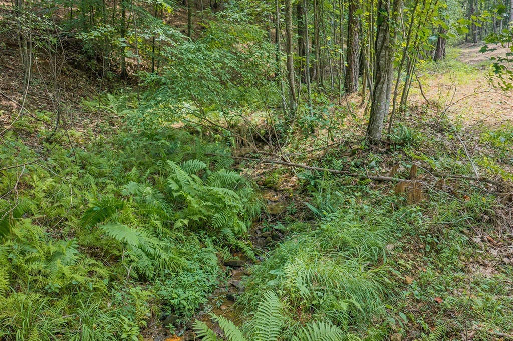 Lot 63 Lacey Springs Lane, Ellijay GA 30143 - Photo