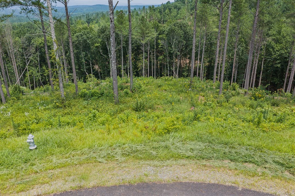Lot 63 Lacey Springs Lane, Ellijay GA 30143 - Photo