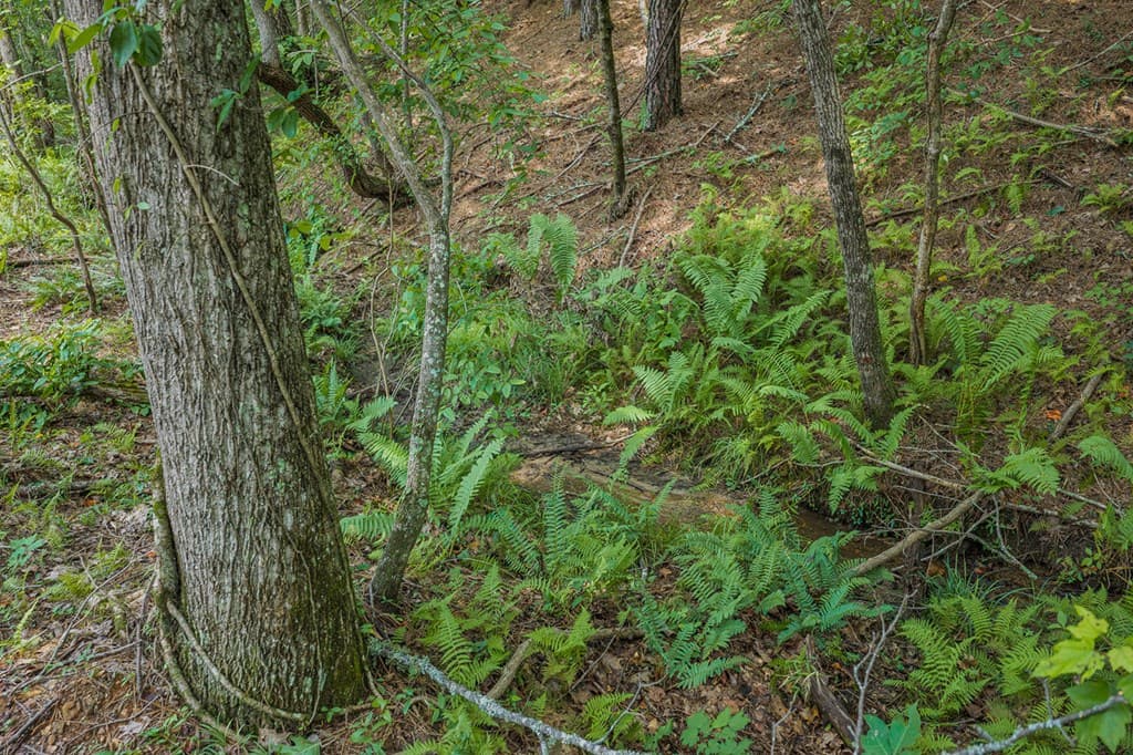 Lot 63 Lacey Springs Lane, Ellijay GA 30143 - Photo