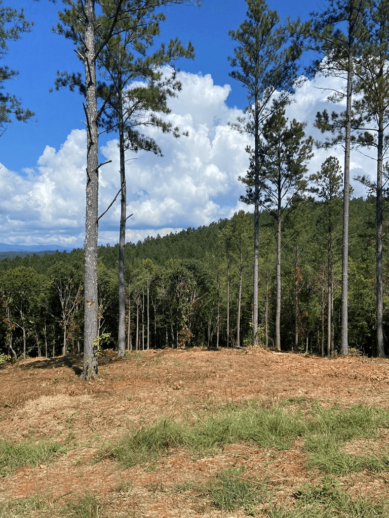 Lot 63 Lacey Springs Lane, Ellijay GA 30143 - Photo