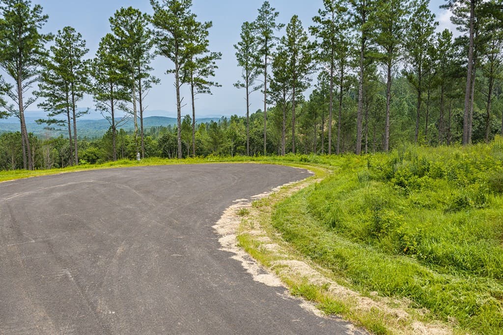 Lot 63 Lacey Springs Lane, Ellijay GA 30143 - Photo