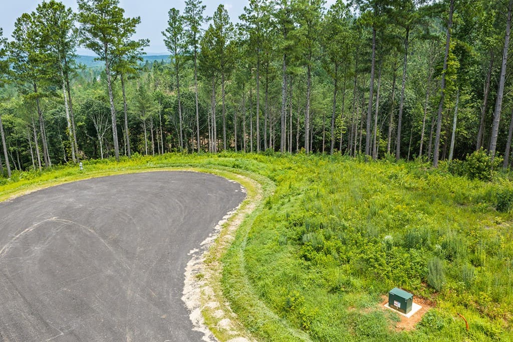 Lot 63 Lacey Springs Lane, Ellijay GA 30143 - Photo