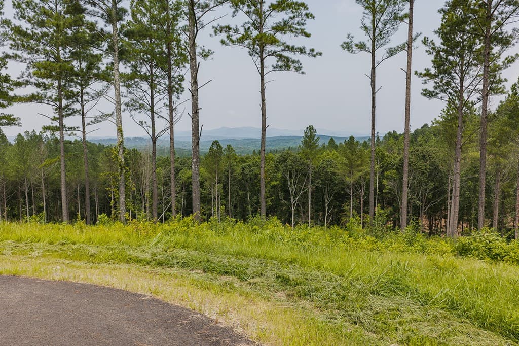 Lot 63 Lacey Springs Lane, Ellijay GA 30143 - Photo