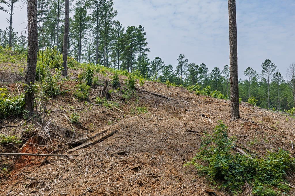 Lot 63 Lacey Springs Lane, Ellijay GA 30143 - Photo