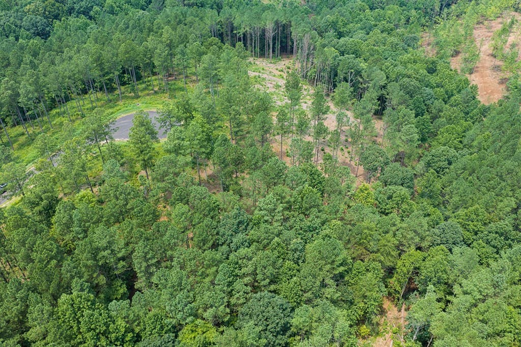 Lot 63 Lacey Springs Lane, Ellijay GA 30143 - Photo