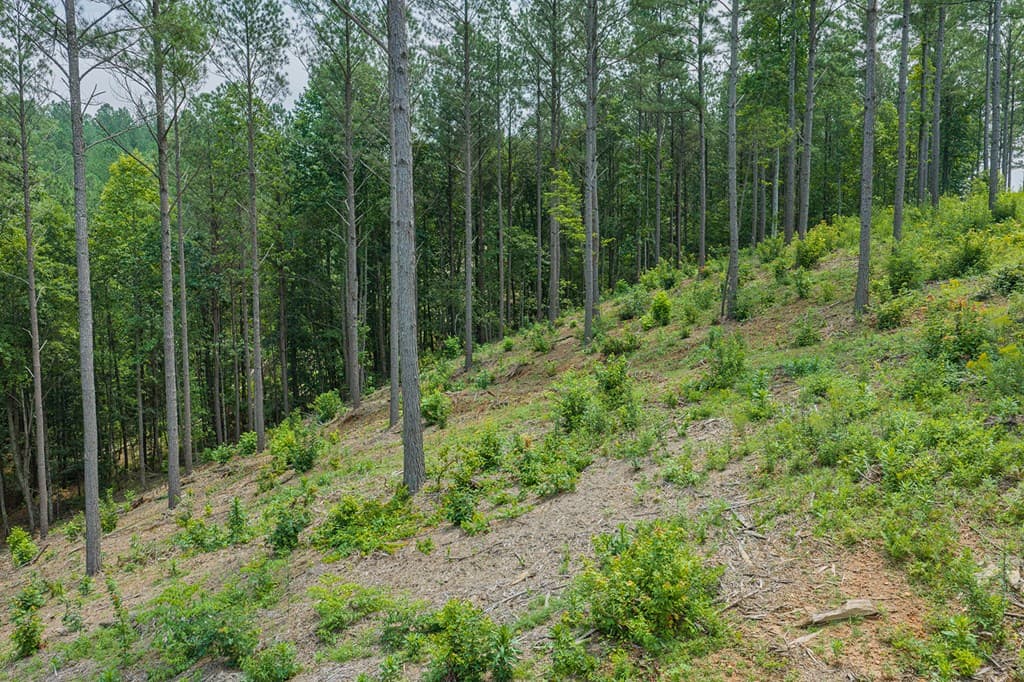 Lot 63 Lacey Springs Lane, Ellijay GA 30143 - Photo