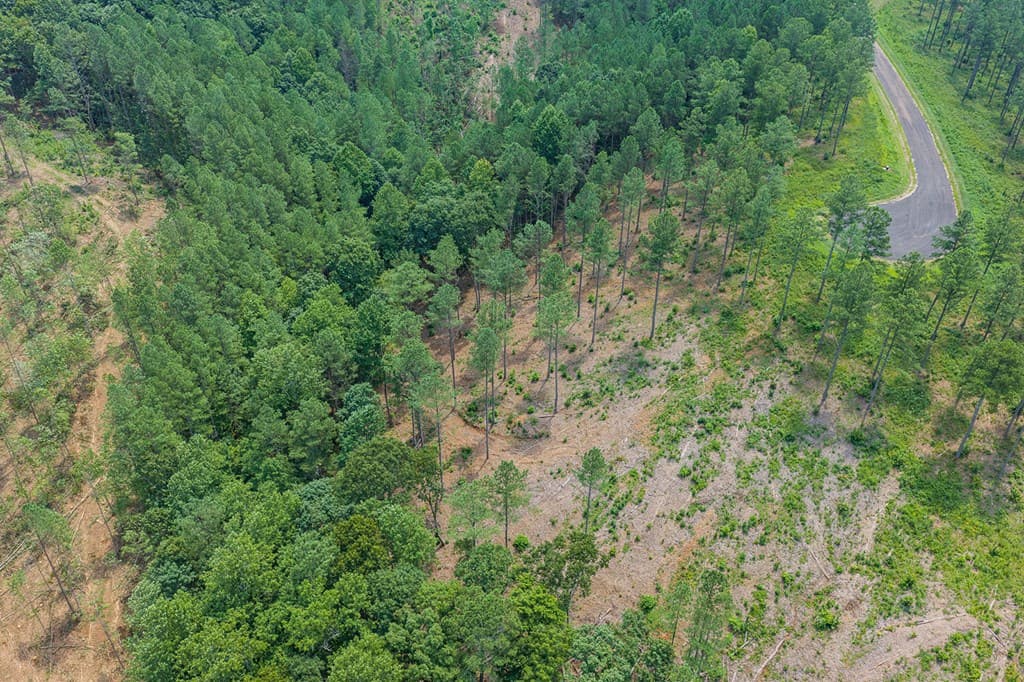 Lot 63 Lacey Springs Lane, Ellijay GA 30143 - Photo