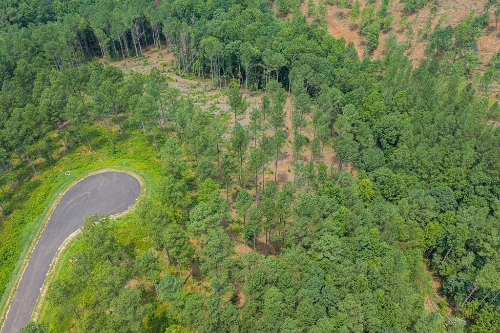 Lot 63 Lacey Springs Lane, Ellijay GA 30143 - Photo