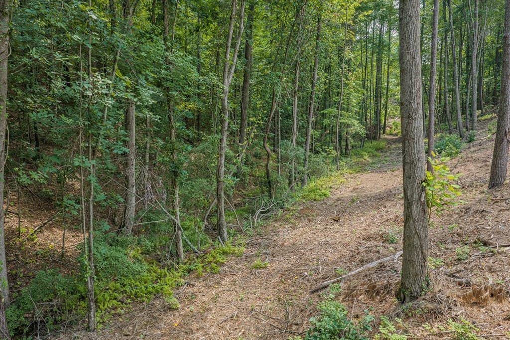 Lot 63 Lacey Springs Lane, Ellijay GA 30143 - Photo