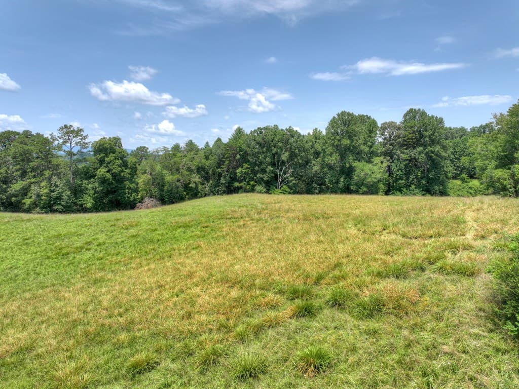 210 Lavista Drive, Blue Ridge GA 30513 - Photo