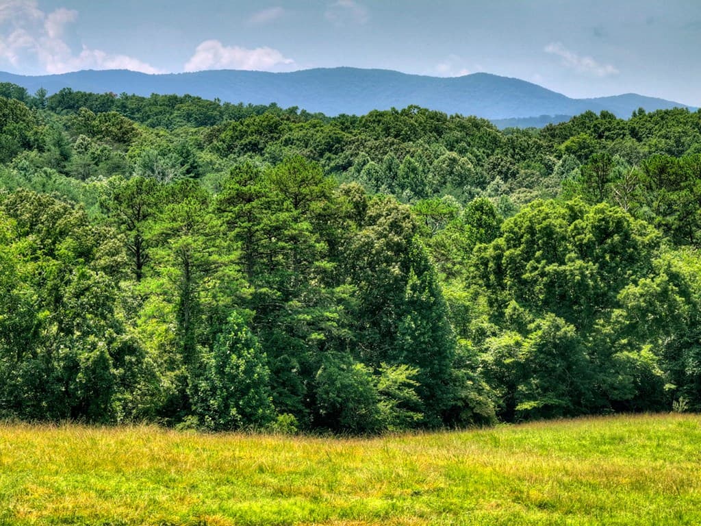 210 Lavista Drive, Blue Ridge GA 30513 - Photo