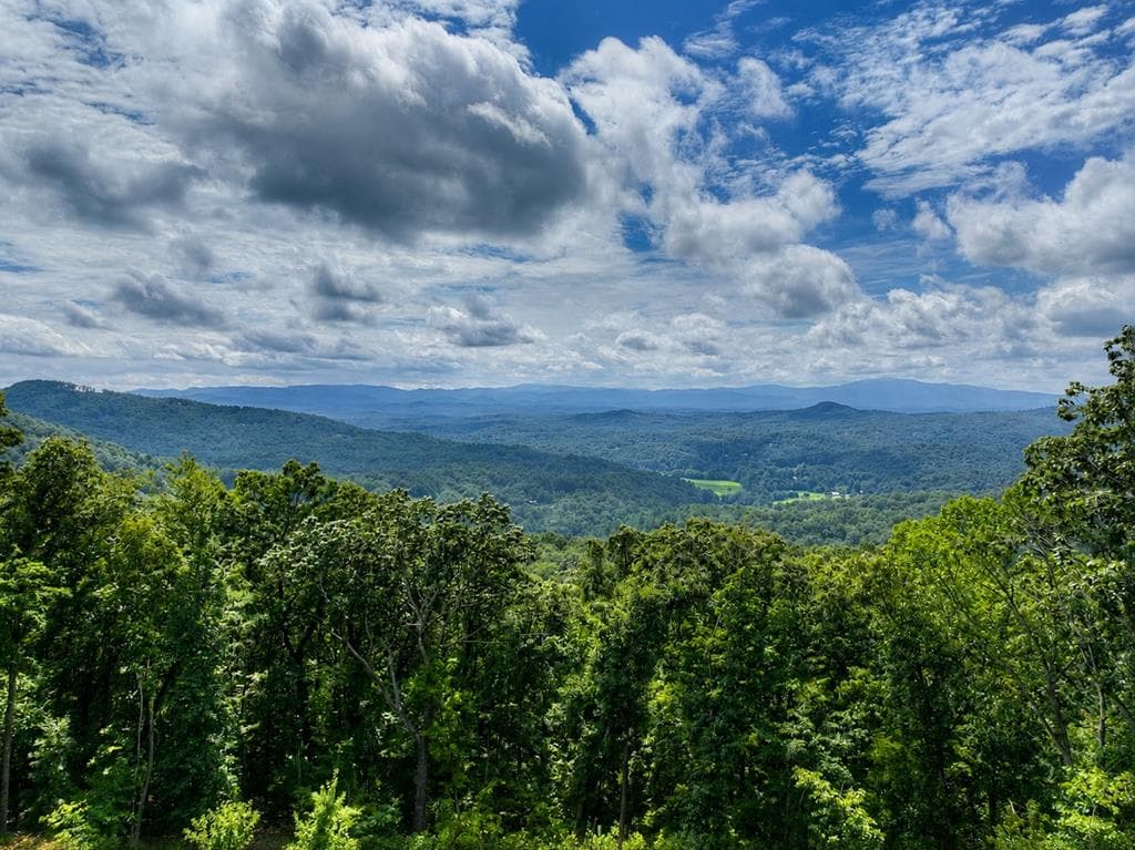 401 Kittatinny Drive, Mineral Bluff GA 30559 - Photo