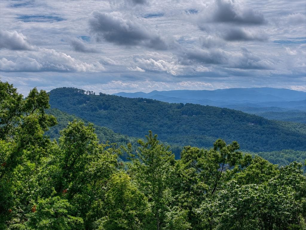 401 Kittatinny Drive, Mineral Bluff GA 30559 - Photo