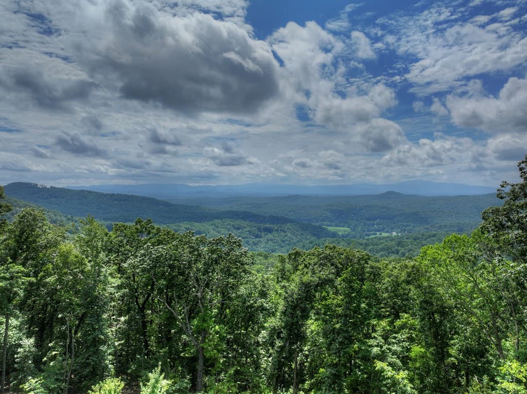 401 Kittatinny Drive, Mineral Bluff GA 30559 - Photo