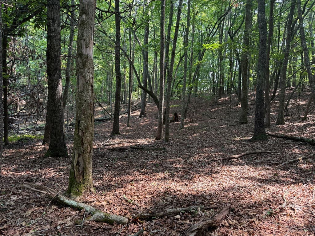 8 Mystic Ridge, Blairsville GA 30512 - Photo