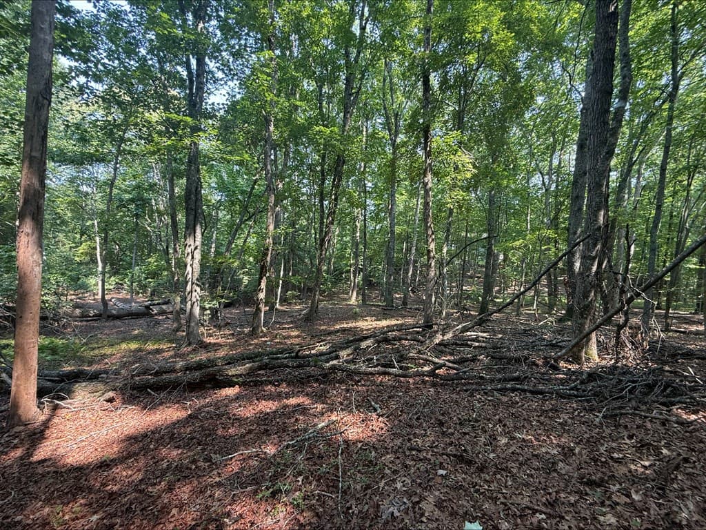 8 Mystic Ridge, Blairsville GA 30512 - Photo