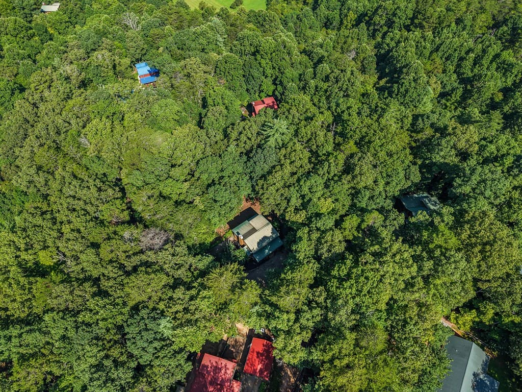 270 Sugar Creek Road, Blairsville GA 30512 - Photo