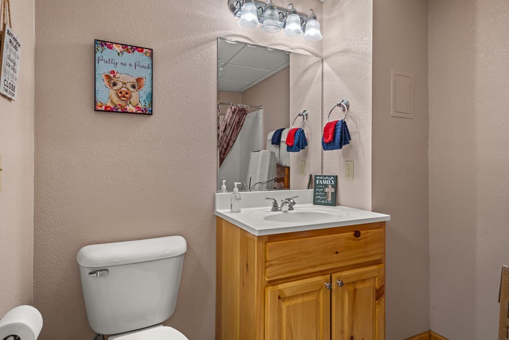 270 Sugar Creek Road, Blairsville GA 30512 - Photo