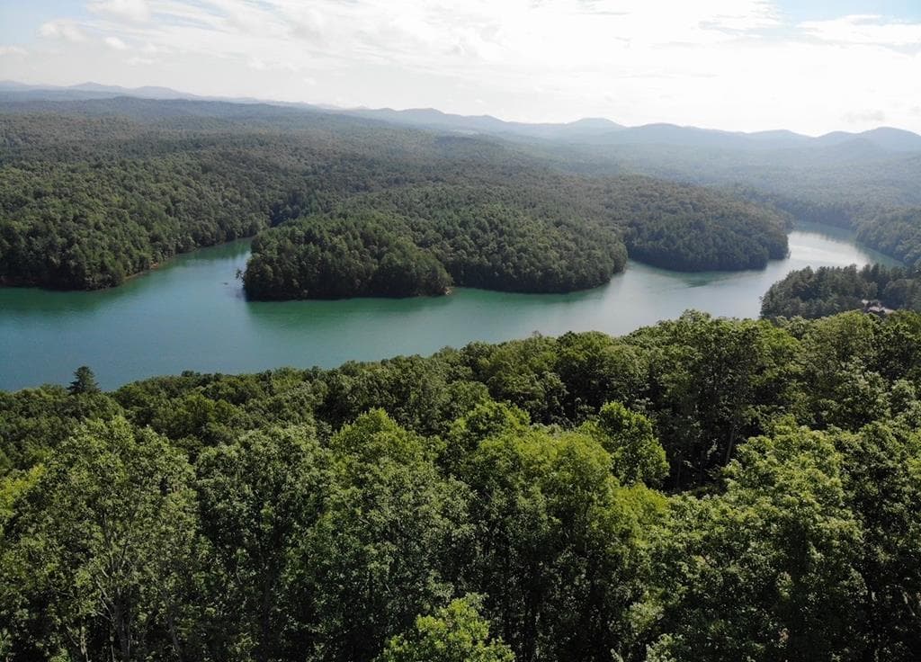 #139 Genessee Path, Blue Ridge GA 30513 - Photo