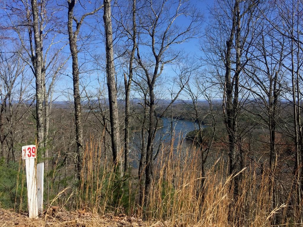 #139 Genessee Path, Blue Ridge GA 30513 - Photo