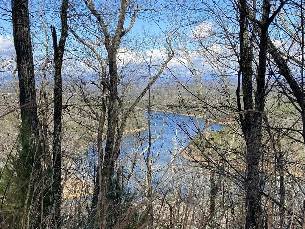 #139 Genessee Path, Blue Ridge GA 30513 - Primary photo