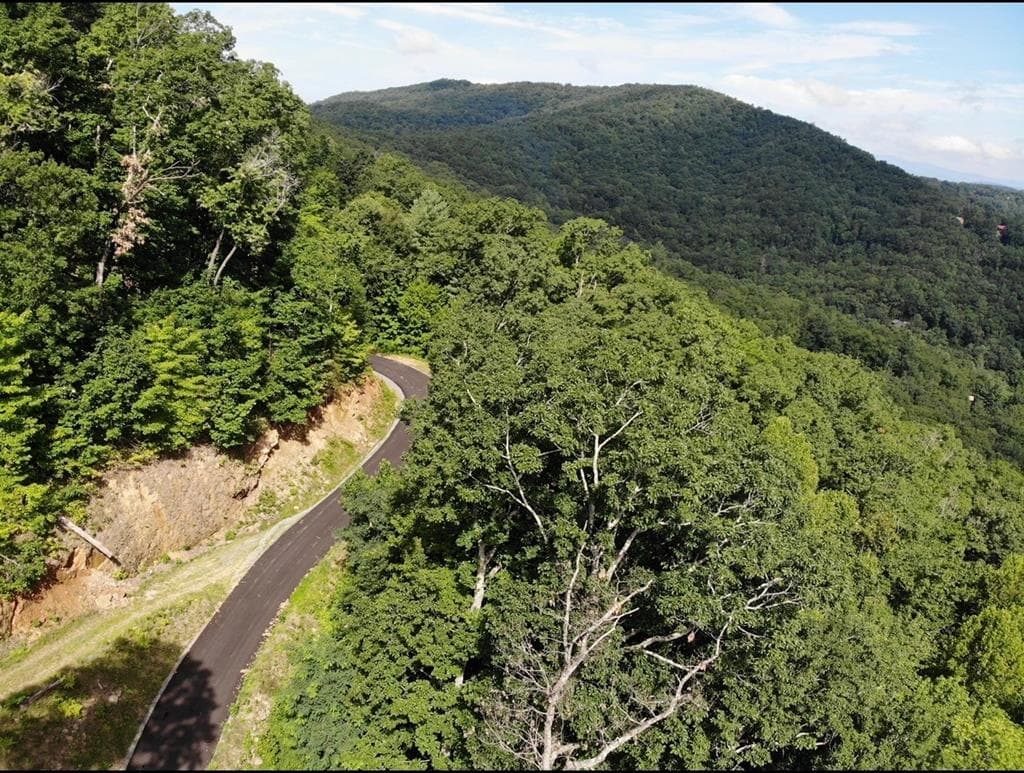 #139 Genessee Path, Blue Ridge GA 30513 - Photo