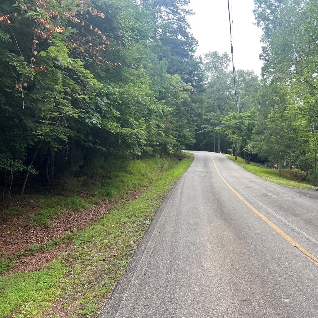 LT 445 Villa Drive, Ellijay GA 30540 - Photo
