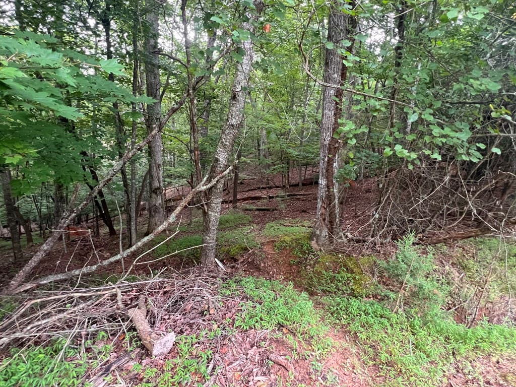 LT 445 Villa Drive, Ellijay GA 30540 - Photo