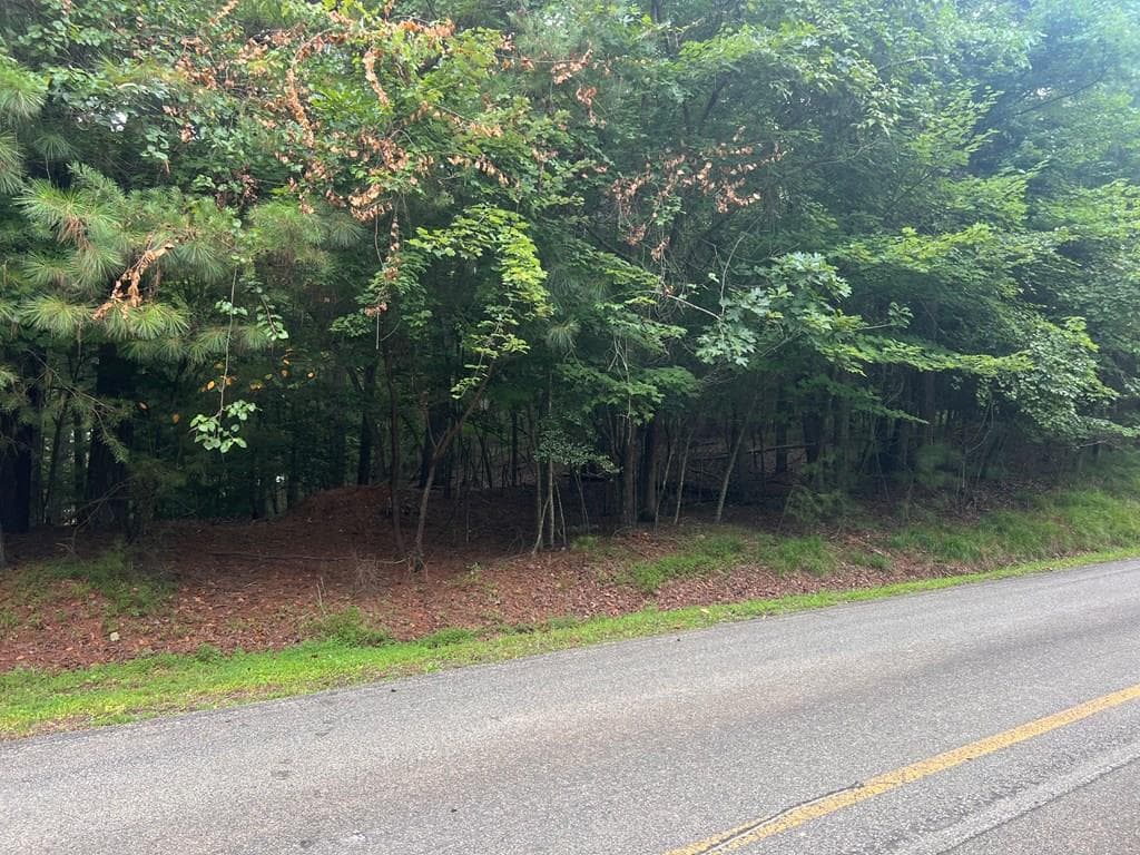 LT 445 Villa Drive, Ellijay GA 30540 - Photo