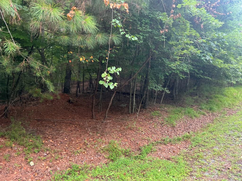 LT 445 Villa Drive, Ellijay GA 30540 - Photo