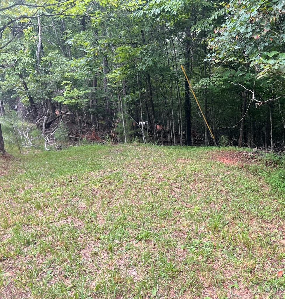 LT 445 Villa Drive, Ellijay GA 30540 - Primary photo