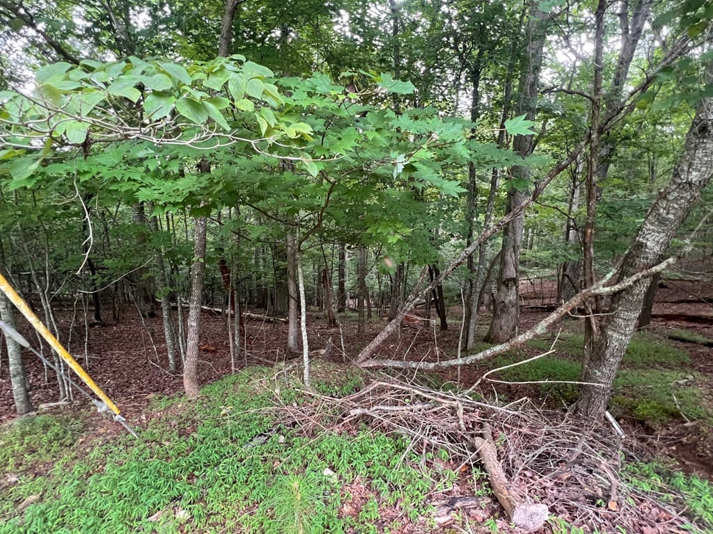 LT 445 Villa Drive, Ellijay GA 30540 - Photo