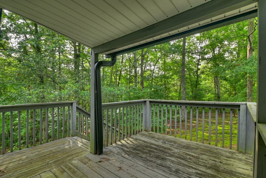 387 Ruby Lane, Mineral Bluff GA 30559 - Photo