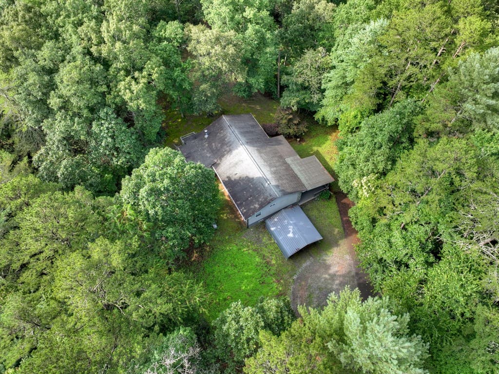 387 Ruby Lane, Mineral Bluff GA 30559 - Photo