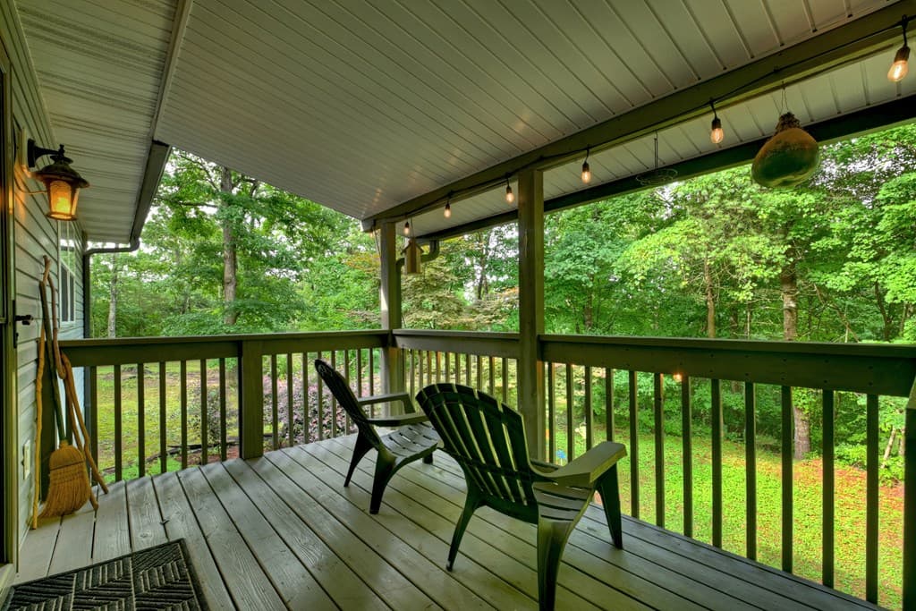 387 Ruby Lane, Mineral Bluff GA 30559 - Photo