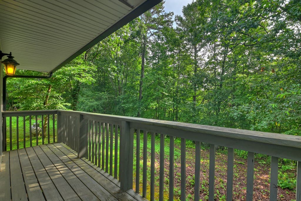 387 Ruby Lane, Mineral Bluff GA 30559 - Photo