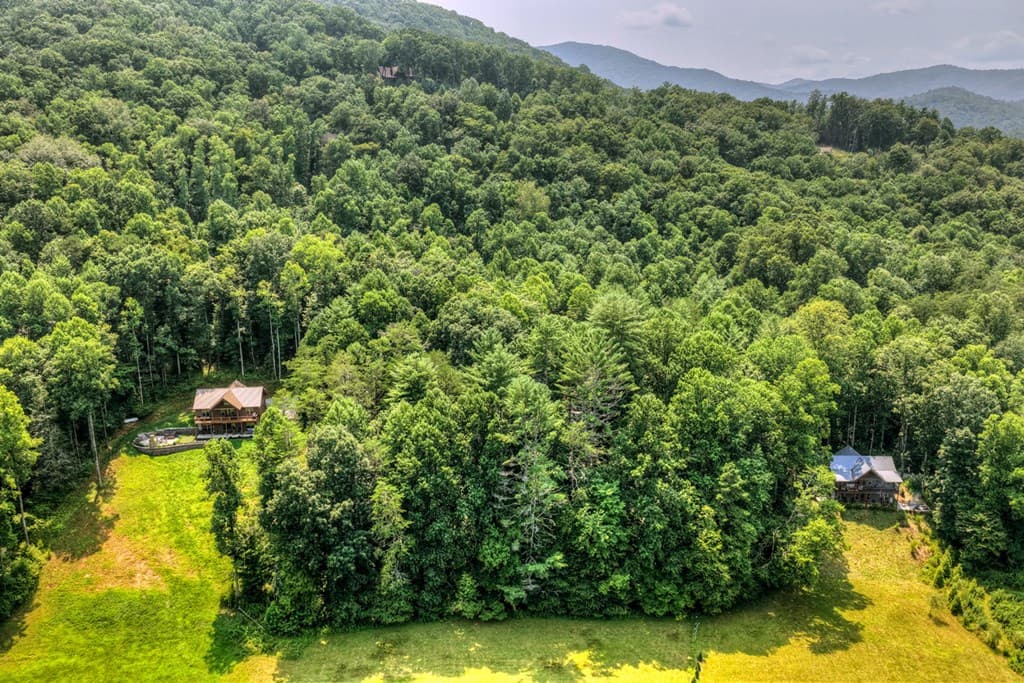 203 Buck Creek Trail, Epworth GA 30541 - Photo