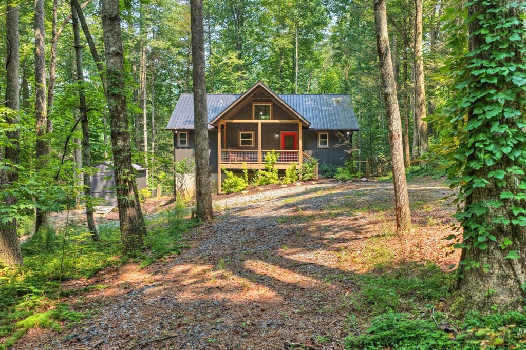 203 Buck Creek Trail, Epworth GA 30541 - Photo
