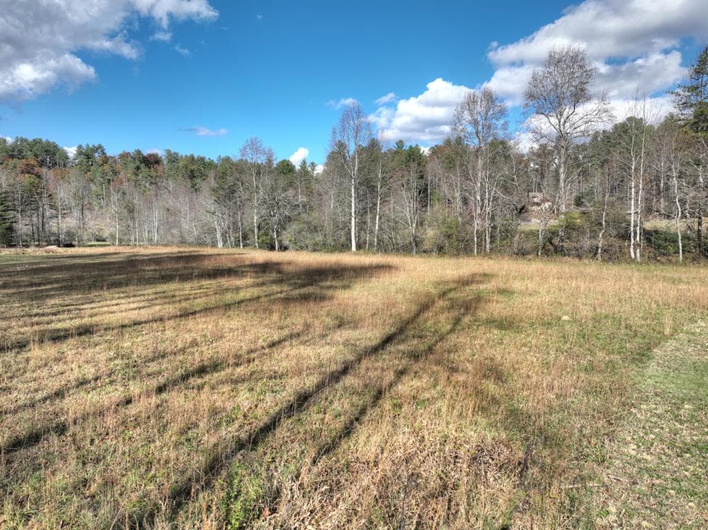 203 Buck Creek Trail, Epworth GA 30541 - Photo
