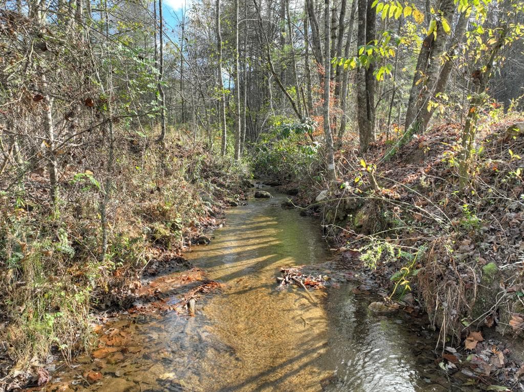 203 Buck Creek Trail, Epworth GA 30541 - Photo