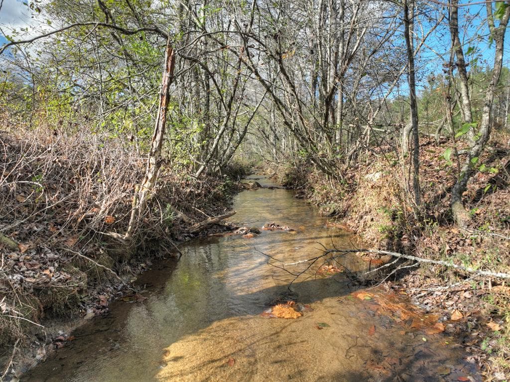 203 Buck Creek Trail, Epworth GA 30541 - Photo