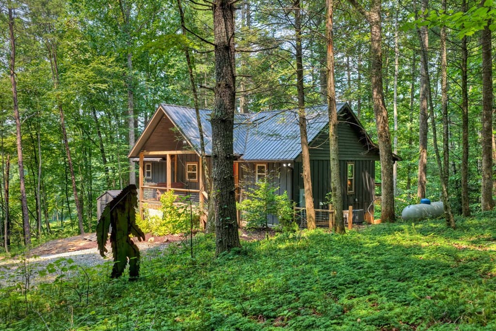 203 Buck Creek Trail, Epworth GA 30541 - Photo