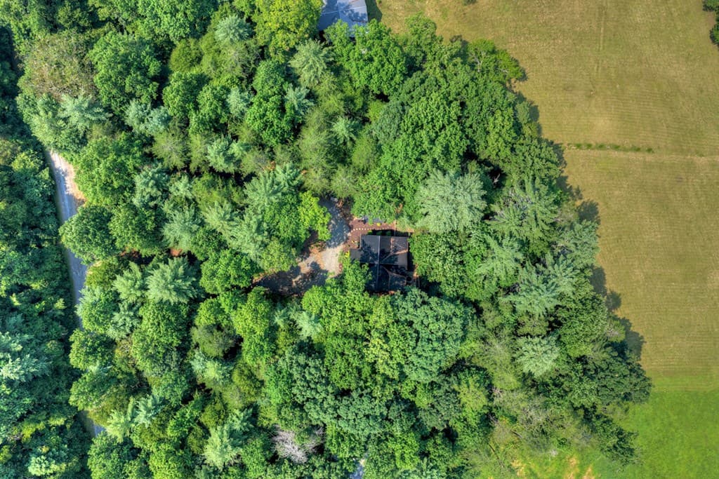 203 Buck Creek Trail, Epworth GA 30541 - Photo