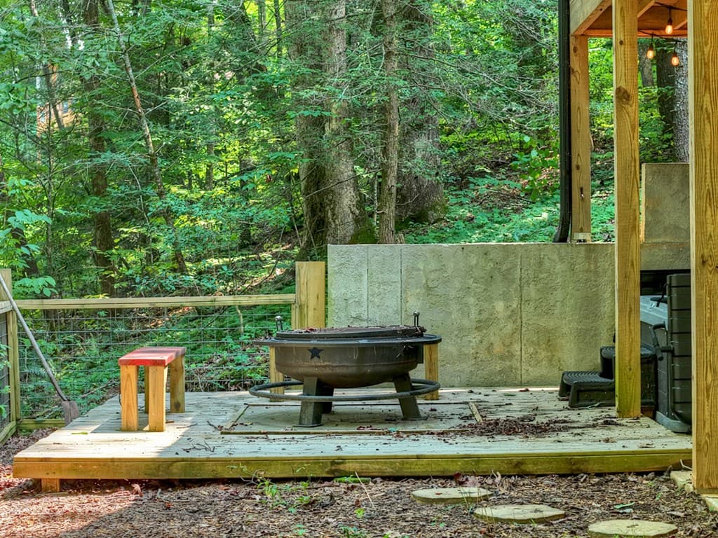 203 Buck Creek Trail, Epworth GA 30541 - Photo