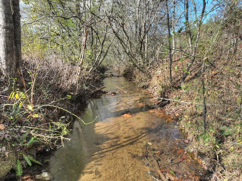 203 Buck Creek Trail, Epworth GA 30541 - Photo