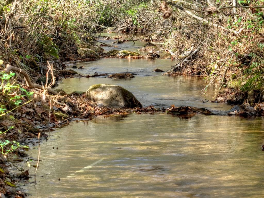 203 Buck Creek Trail, Epworth GA 30541 - Photo